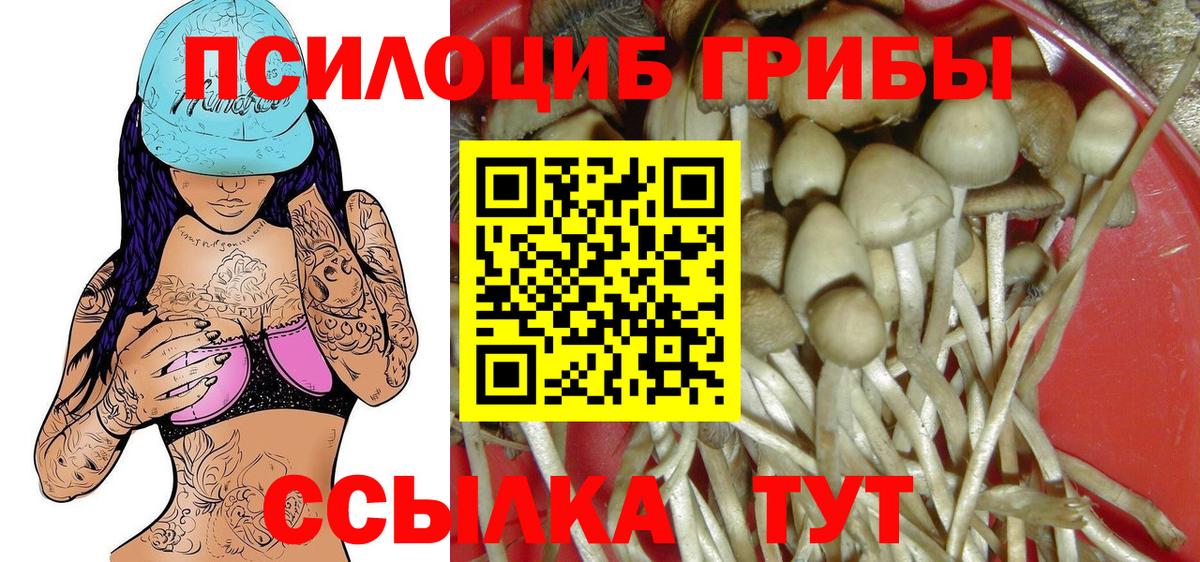 Галлюциногенные грибы мухоморы  Вход с VPN  Кубинка  Галлюциногенные грибы Psilocybe 
